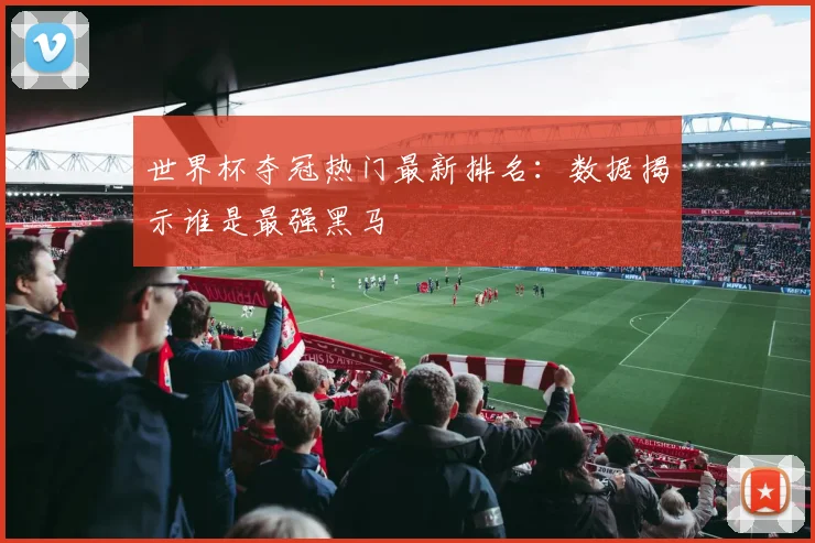 世界杯夺冠热门最新排名:数据揭示谁是最强黑马