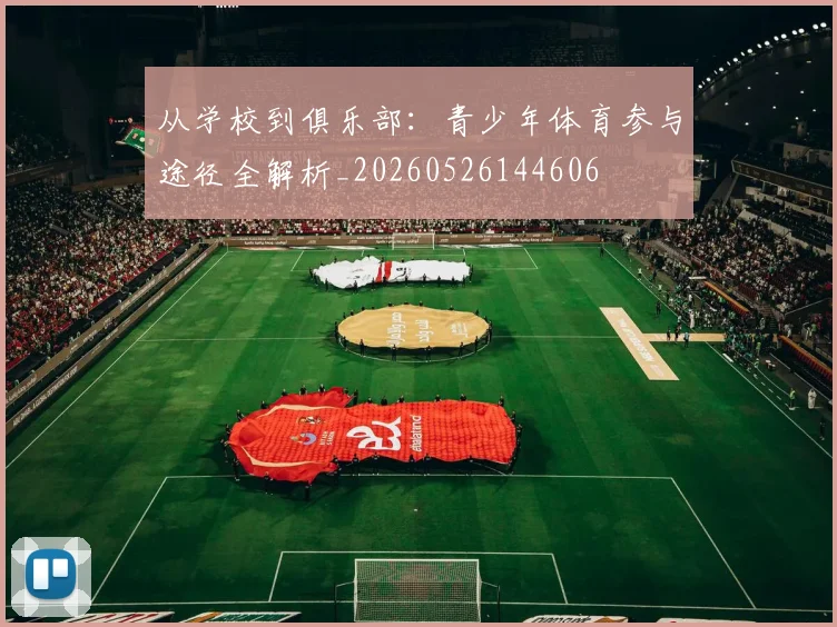 从学校到俱乐部:青少年体育参与途径全解析_20260526144606